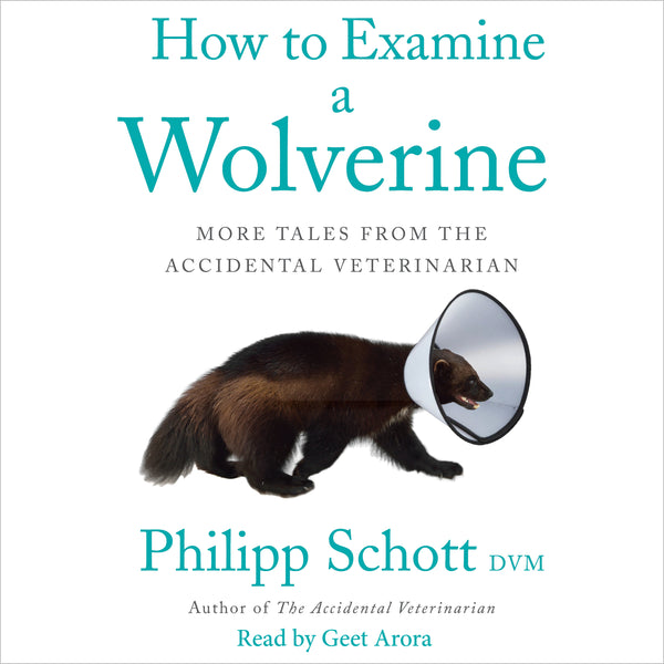 How to Examine a Wolverine: More Tales from the Accidental