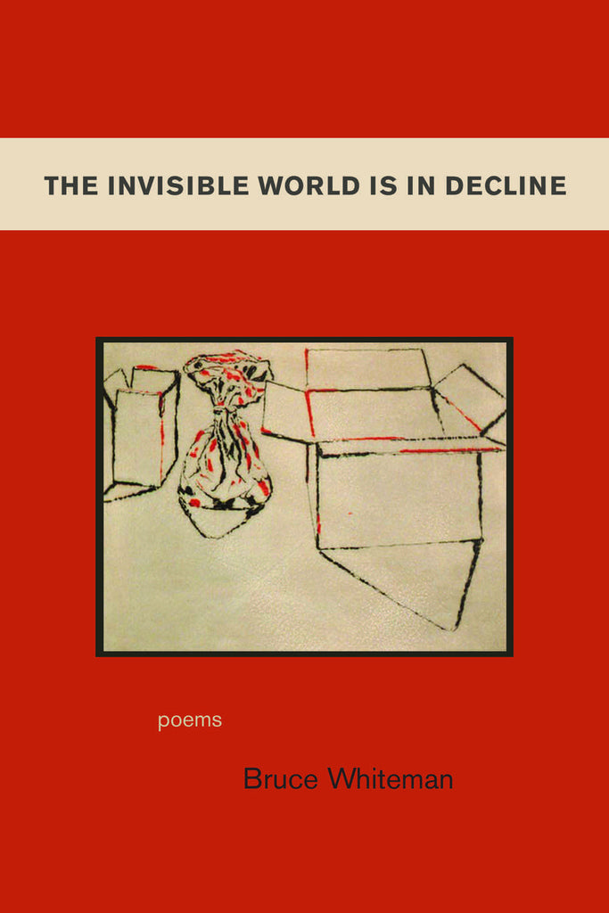 The Invisible World Is In Decline - ECW Press
