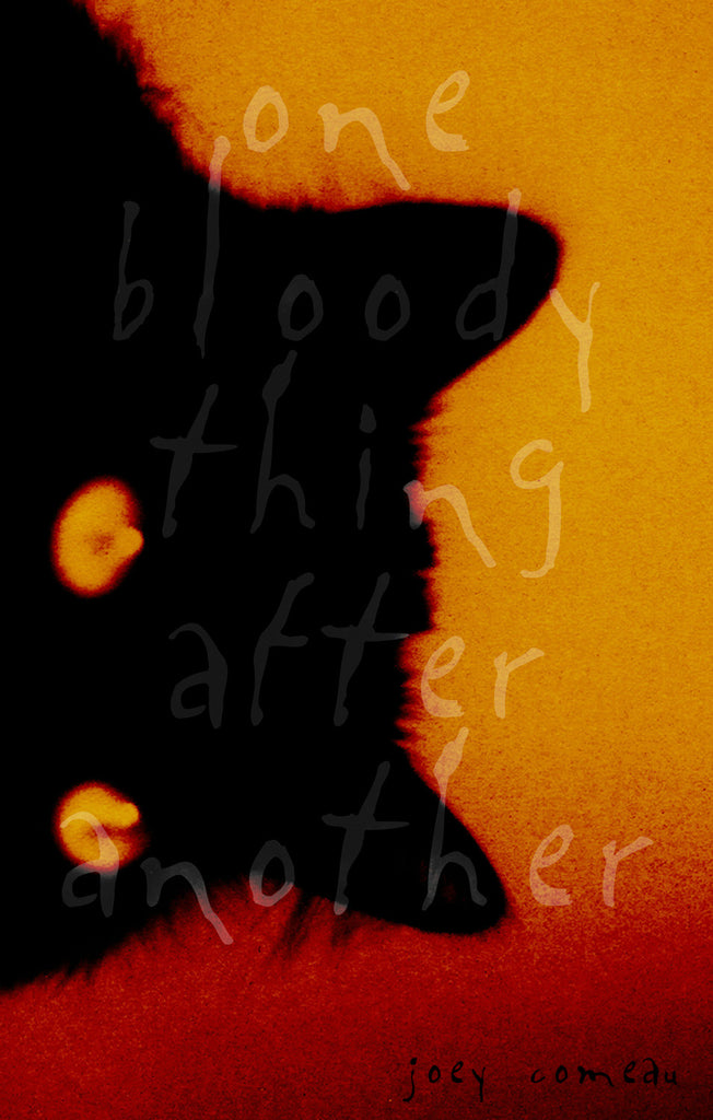 One Bloody Thing After Another - ECW Press
