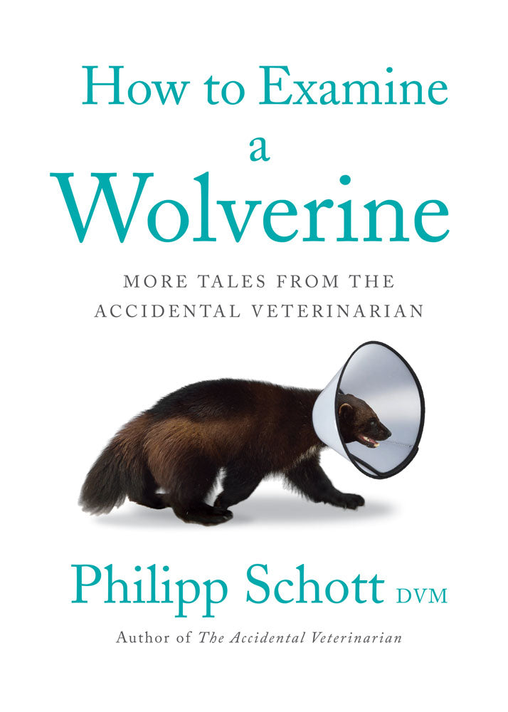 How to Examine a Wolverine by Philipp Schott, DVM, ECW Press