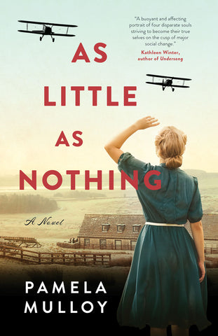 Cover: As Little As Nothing: A Novel by Pamela Mulloy