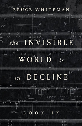 Cover: The Invisible World Is in Decline Book IX by Bruce Whiteman