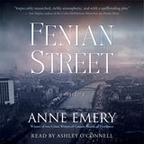 Fenian Street: A Mystery